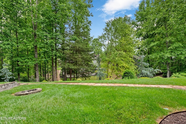 115 Tecumseh Ln, Loudon, TN 37774 - view of grassy yard featuring a fire pit