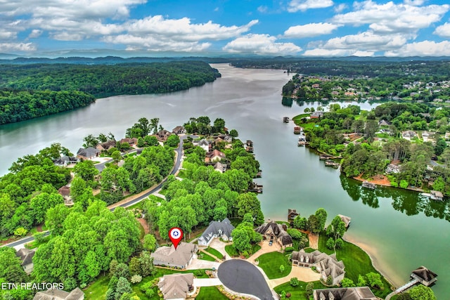 115 Tecumseh Ln, Loudon, TN 37774 - bird's eye view of a nearby body of water and a forest