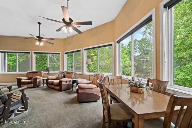 115 Tecumseh Ln, Loudon, TN 37774 - living room with a ceiling fan and carpet
