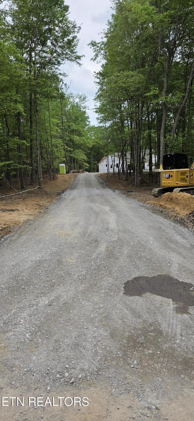 1640 E Overlook Rd, Monterey, TN 38574 - view of road