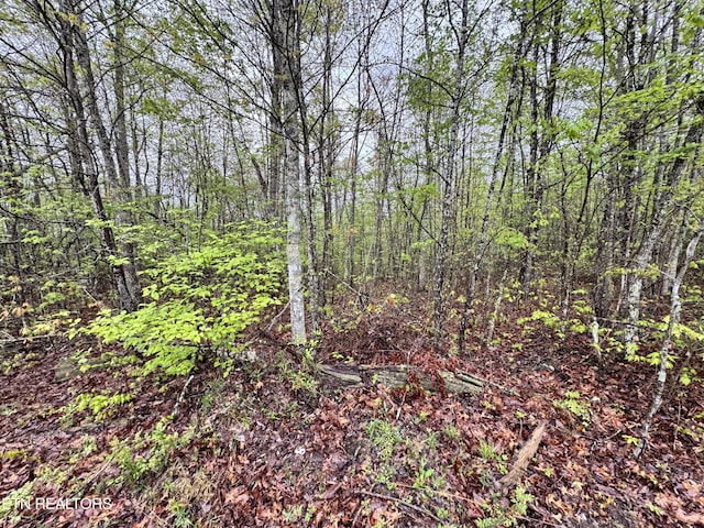 60268 Red Rock Ln, Crawford, TN 38554 - photo 1