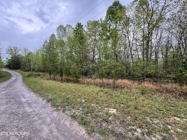 60268 Red Rock Ln, Crawford, TN 38554 - photo 2