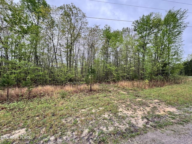 60268 Red Rock Ln, Crawford, TN 38554 - photo 3