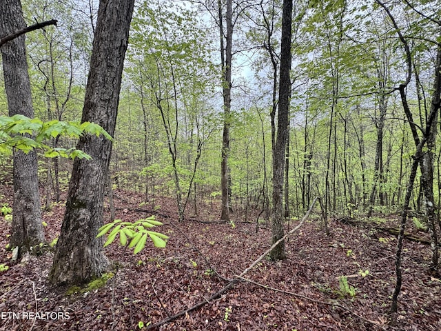 60268 Red Rock Ln, Crawford, TN 38554 - photo 4