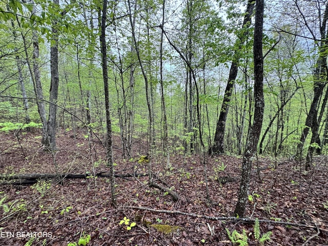 60268 Red Rock Ln, Crawford, TN 38554 - photo 6