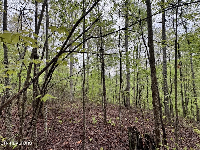 60268 Red Rock Ln, Crawford, TN 38554 - photo 9