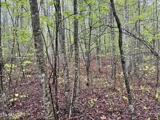 60268 Red Rock Ln, Crawford, TN 38554 - photo 11
