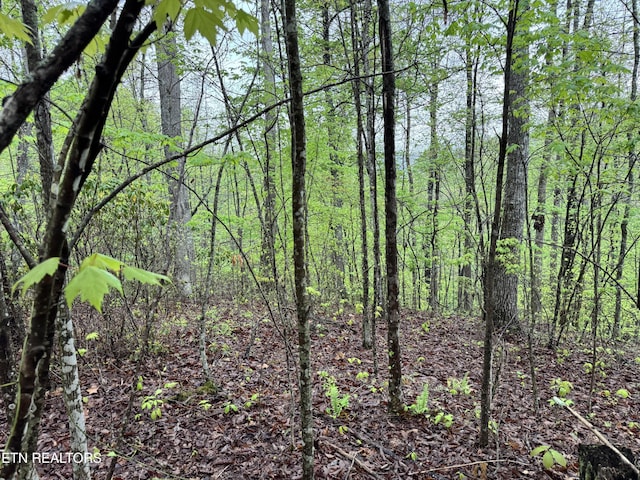 60268 Red Rock Ln, Crawford, TN 38554 - photo 12