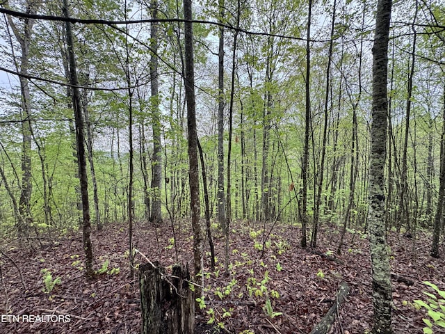 60268 Red Rock Ln, Crawford, TN 38554 - photo 14