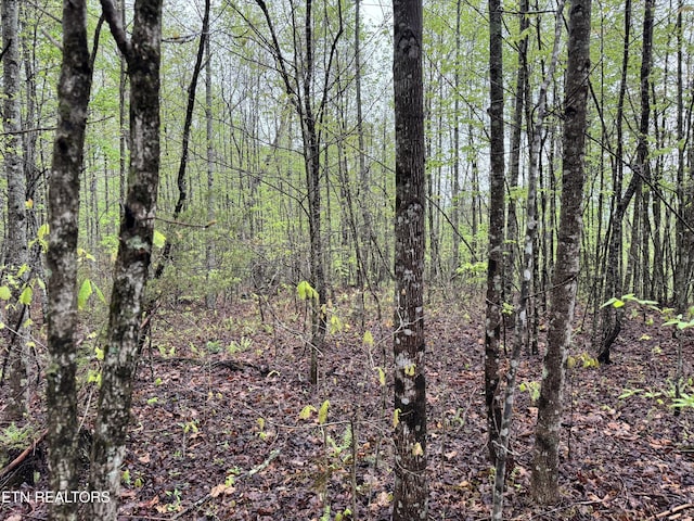 60268 Red Rock Ln, Crawford, TN 38554 - photo 16