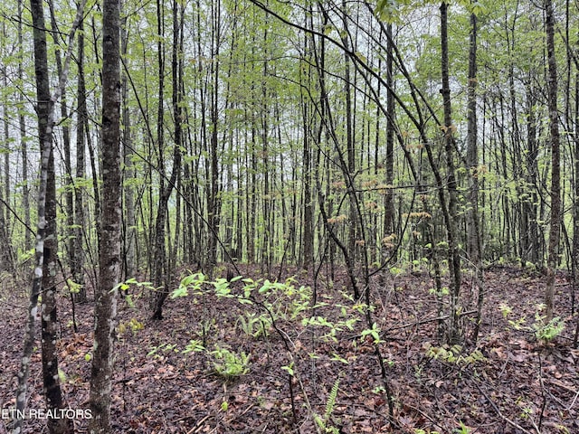 60268 Red Rock Ln, Crawford, TN 38554 - photo 17