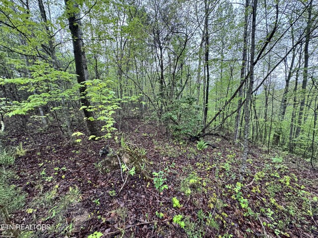 60268 Red Rock Ln, Crawford, TN 38554 - photo 20