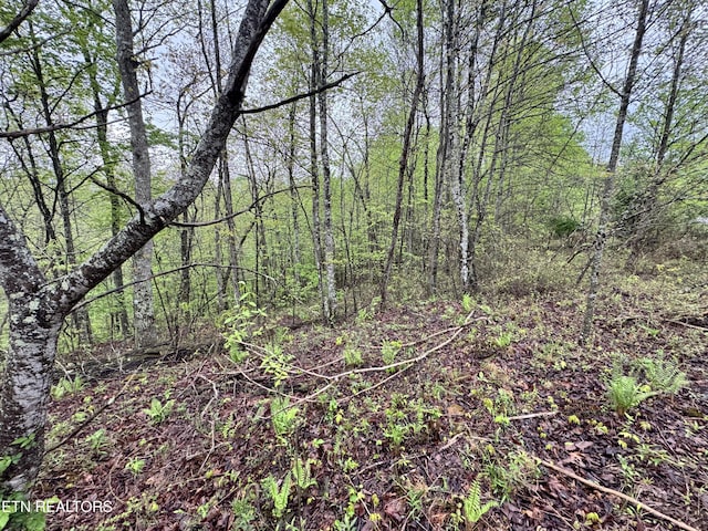 60268 Red Rock Ln, Crawford, TN 38554 - photo 21