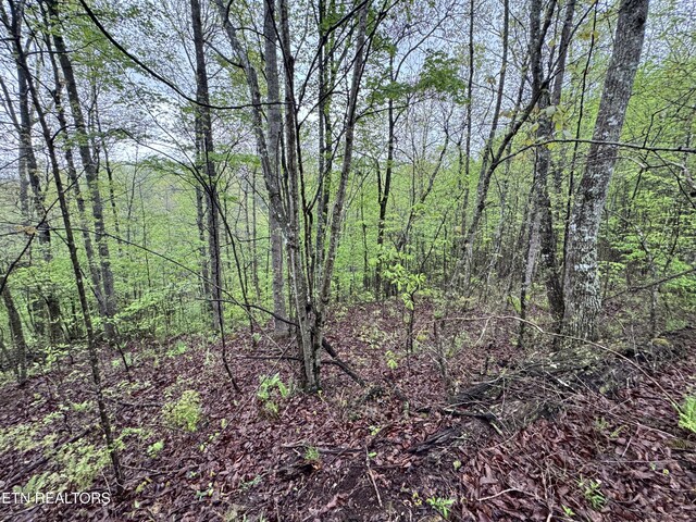 60268 Red Rock Ln, Crawford, TN 38554 - photo 22