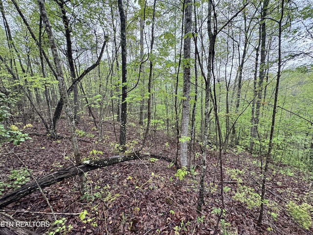 60268 Red Rock Ln, Crawford, TN 38554 - photo 23