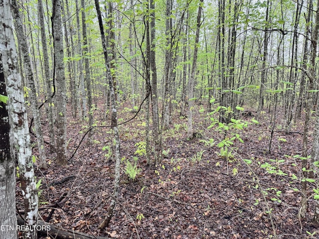 60268 Red Rock Ln, Crawford, TN 38554 - photo 24