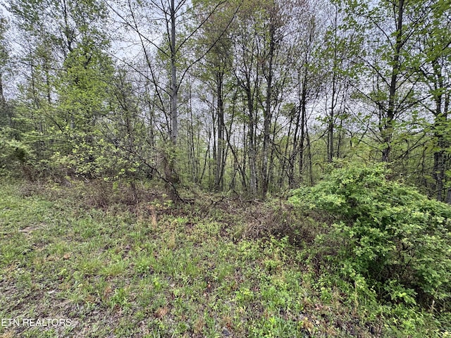 60268 Red Rock Ln, Crawford, TN 38554 - photo 25
