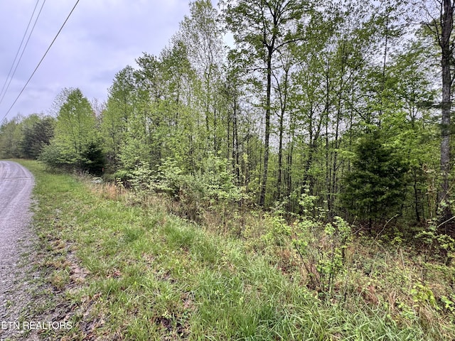 60268 Red Rock Ln, Crawford, TN 38554 - photo 26