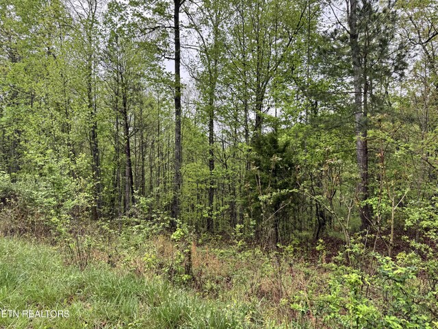 60268 Red Rock Ln, Crawford, TN 38554 - photo 28