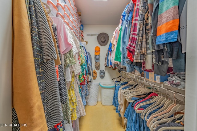312 Cheestana Way, Loudon, TN 37774 - walk in closet featuring carpet flooring