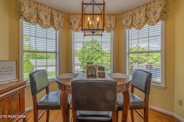 312 Cheestana Way, Loudon, TN 37774 - dining room featuring a chandelier, light wood-style flooring, baseboards, and healthy amount of natural light