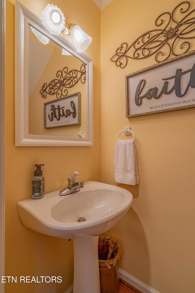 312 Cheestana Way, Loudon, TN 37774 - view of bathroom