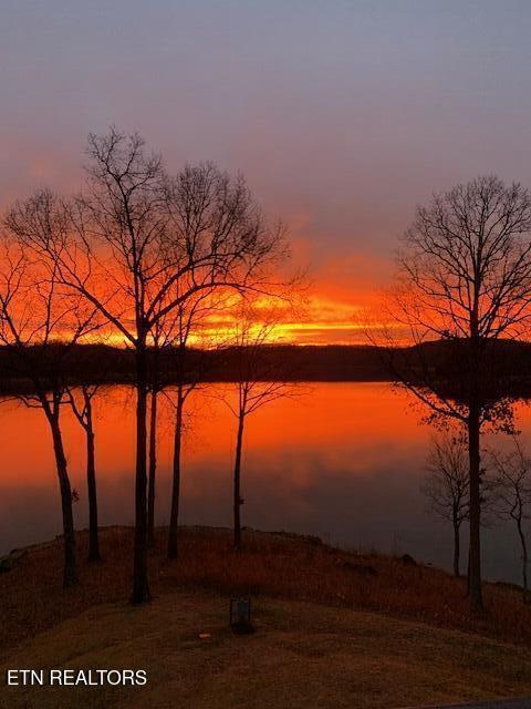 700 Shanghai Landing Ln Unit 11, Lafollette, TN 37766 - water view