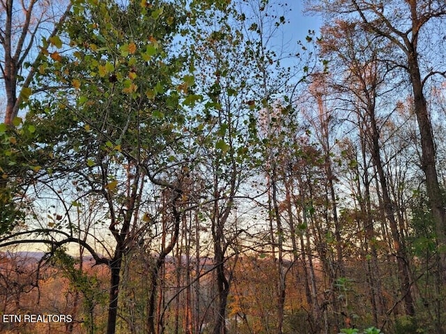 103 Renner Ln, Oliver Springs, TN 37840 - view of tree filled area