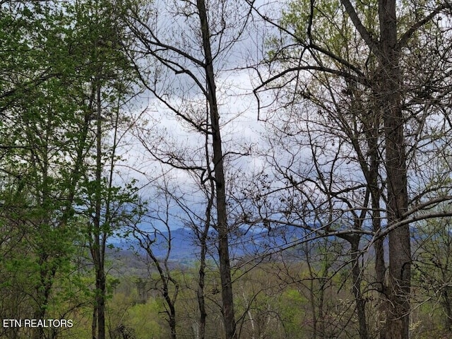 103 Renner Ln, Oliver Springs, TN 37840 - water view with a heavily wooded area