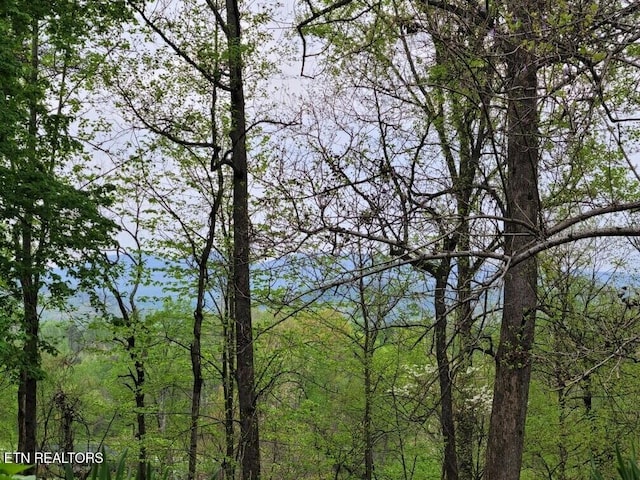 103 Renner Ln, Oliver Springs, TN 37840 - water view with a heavily wooded area