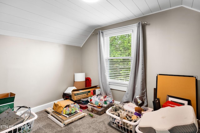 919 Montgomery Ln, Maryville, TN 37803 - photo 24