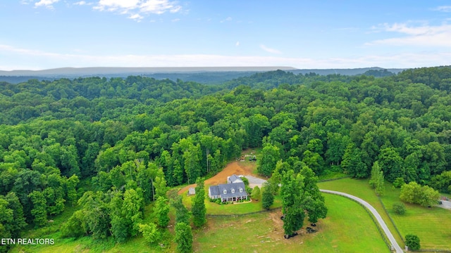 3631 Louisville Rd, Louisville, TN 37777 - photo 3