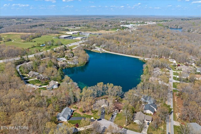 14 Dalton Ter, Crossville, TN 38558 - photo 30