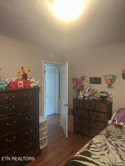 3614 Selma Ave, Knoxville, TN 37914 - bedroom with ornamental molding, dark wood-style floors, and a textured ceiling