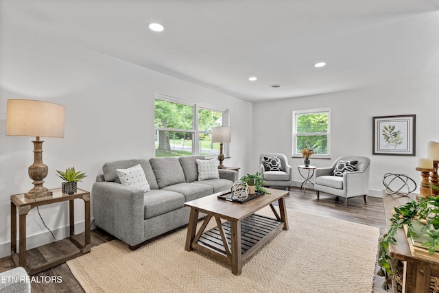 4525 Fawnie Ln, Knoxville, TN 37918 - living room featuring plenty of natural light, wood finished floors, recessed lighting, and baseboards