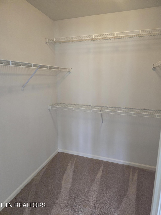 678 Applegate Ln Unit 33, Knoxville, TN 37934 - spacious closet featuring carpet flooring
