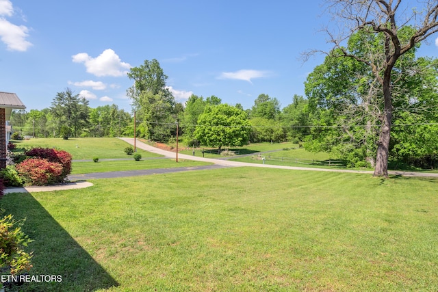 917 Swan Pond Circle Rd, Harriman, TN 37748 - view of grassy yard