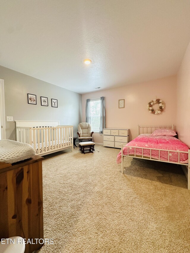 368 Hayley Marie Ln, Knoxville, TN 37920 - photo 22