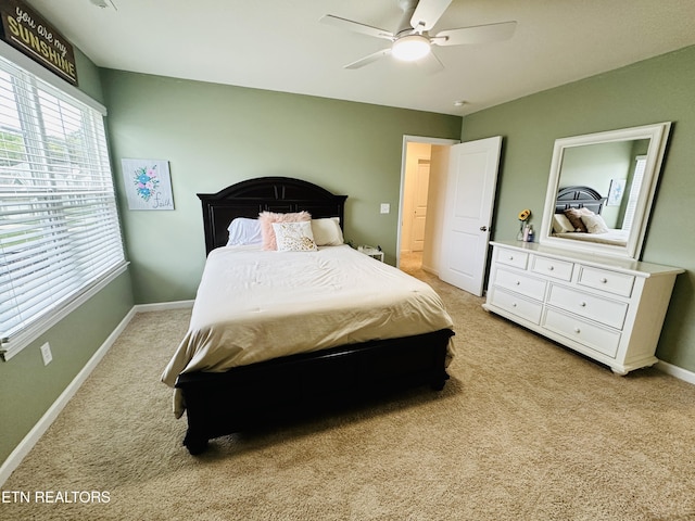 368 Hayley Marie Ln, Knoxville, TN 37920 - photo 20