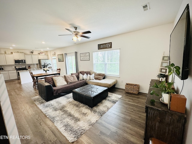 368 Hayley Marie Ln, Knoxville, TN 37920 - photo 9