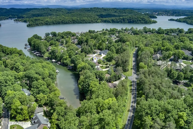 aerial view of a nearby body of water and a heavily wooded area