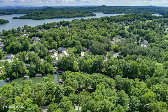 bird's eye view of a large body of water and a forest