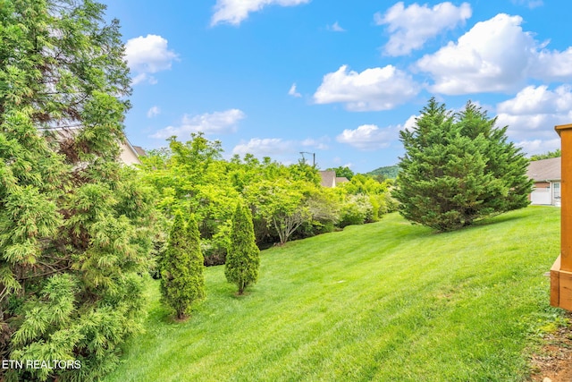 111 Devanshire Ct, Oak Ridge, TN 37830 - view of grassy yard
