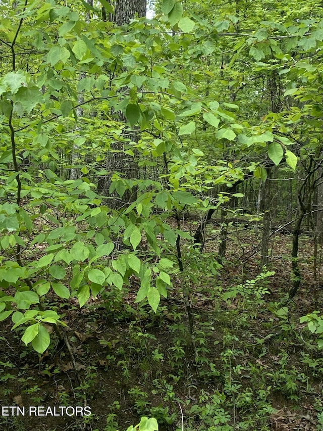 614 Catawba Ln, Crossville TN, 38572 land for sale