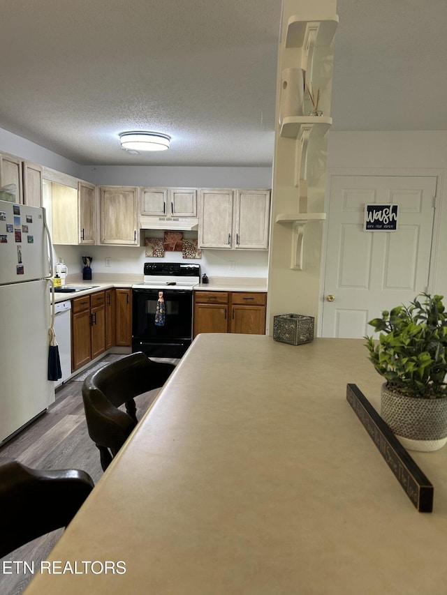 6116 Lanier Rd, Maryville, TN 37801 - photo 5