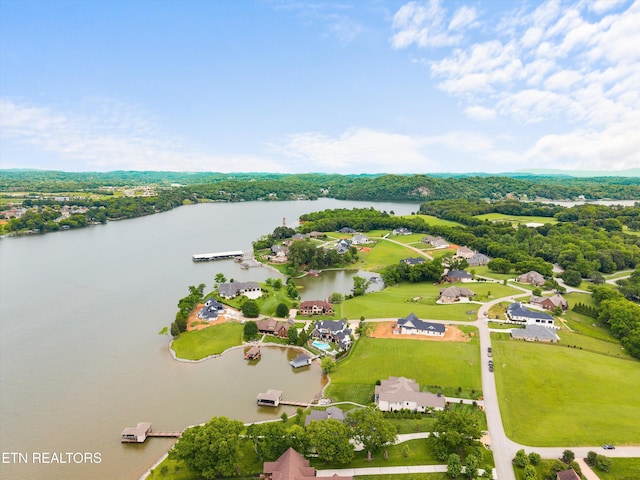 316 Spoondrift Ct, Louisville, TN 37777 - photo 56