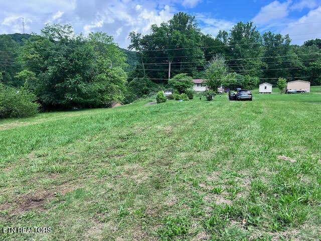 113 Smith Ln, Harriman, TN 37748 - photo 5