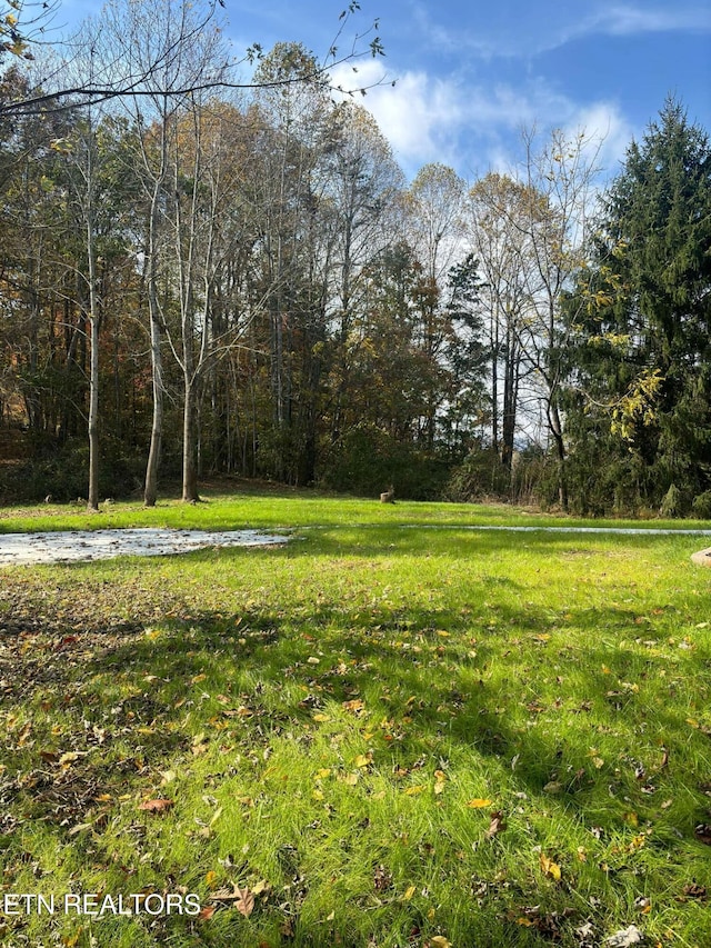 136 Log Ln, Jacksboro, TN 37757 - view of yard
