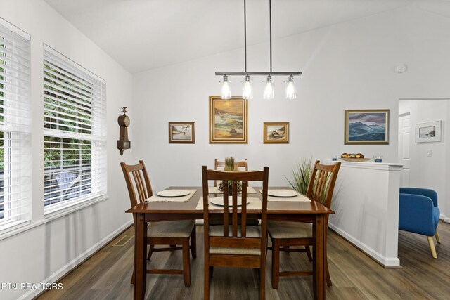 134 Jordan Dr, Caryville, TN 37714 - dining room with dark wood-style floors, baseboards, and lofted ceiling