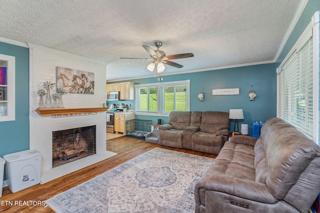 101 Temple Rd, Oak Ridge, TN 37830 - living area with crown molding, ceiling fan, a textured ceiling, light wood-style flooring, and a fireplace